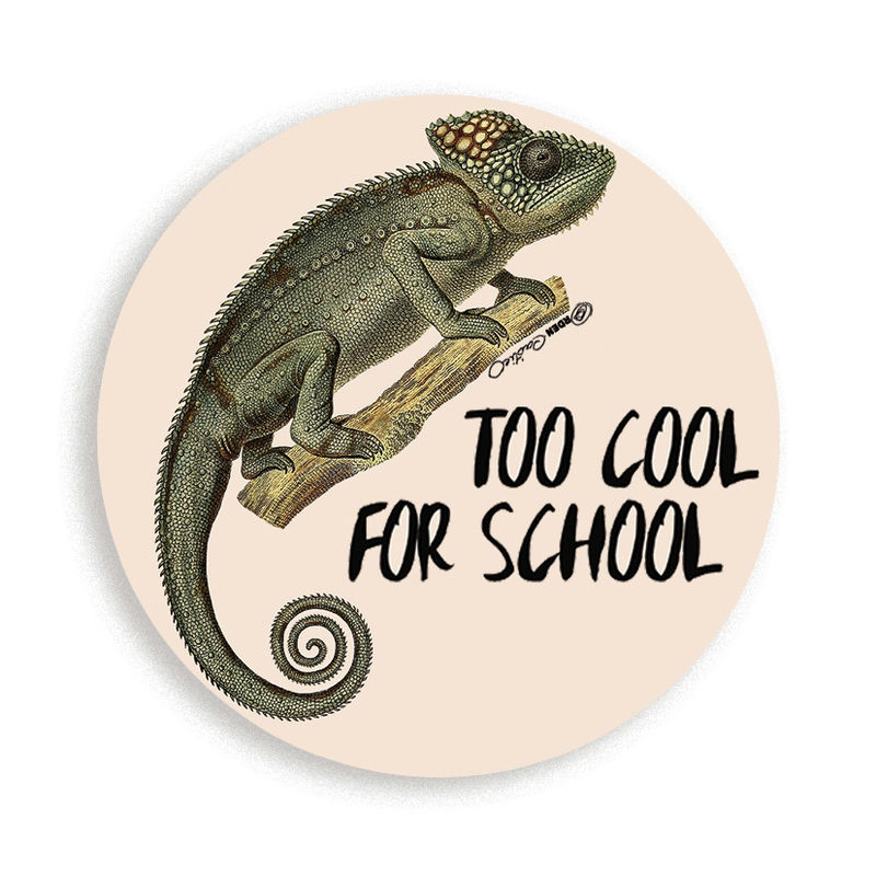 Chapa To Cool For School