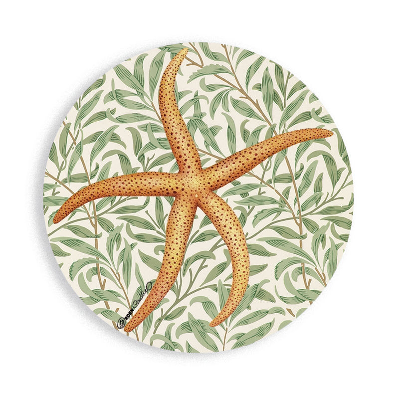 Chapa Estrella De Mar